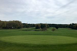An image of the green on a golf course.