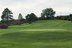 An image of a hole on the green.
