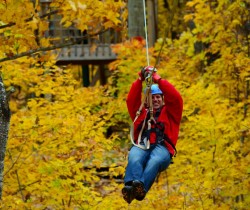 A picture of a man zip lining through the trees.
