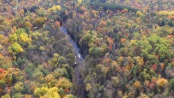 An arial picture of a river flowing through fall trees.