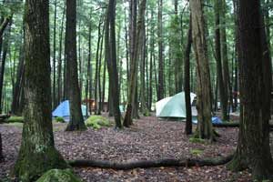 Photo of tents in woods near Crivitz, WI