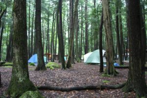 An image of tents in the woods.