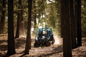 An image of two people driving a side-by-side ATV through the trees.