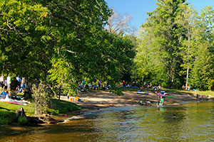 An image of people and trees along the shore,.