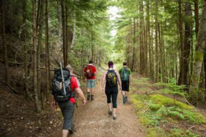 An image of 4 hikers on a trail through the trees.