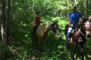 An image of a man and a boy on horses in the trees.