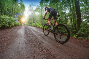 An image of a man riding a mountain bike down a trail through the trees.