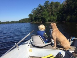 A picture of a dog and woman fishing from a boat.