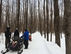 A picture of snow mobile riders looking back at the snowy road behind them, set in the trees.
