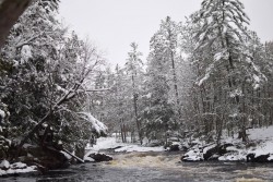 A picture of the water flowing through snow covered trees.