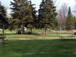 A picture of picnic benches in the grass and trees.