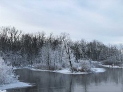 A picture of the water and snow covered trees.