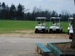 A picture of gold carts with trees in the background.