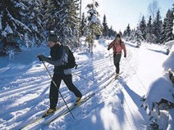A picture of two people snow-shoeing.