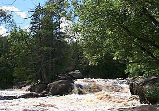 An image of a river flowing around rocks and trees.