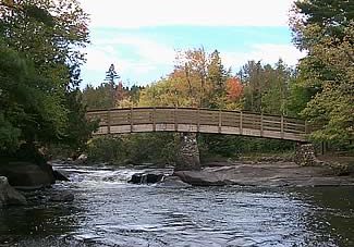 An image of a bridge over a river, with trees all around.