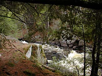 An image of a river flowing through rocks and trees.