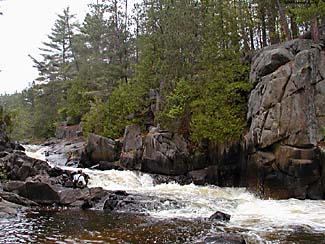 An image of a river rushing passed a rock wall with trees.