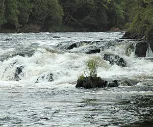 An image of water falls cascading over rocks.