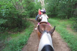 A picture taken or a girl on a horse in front of a rider following on a horse down a trail in the trees.