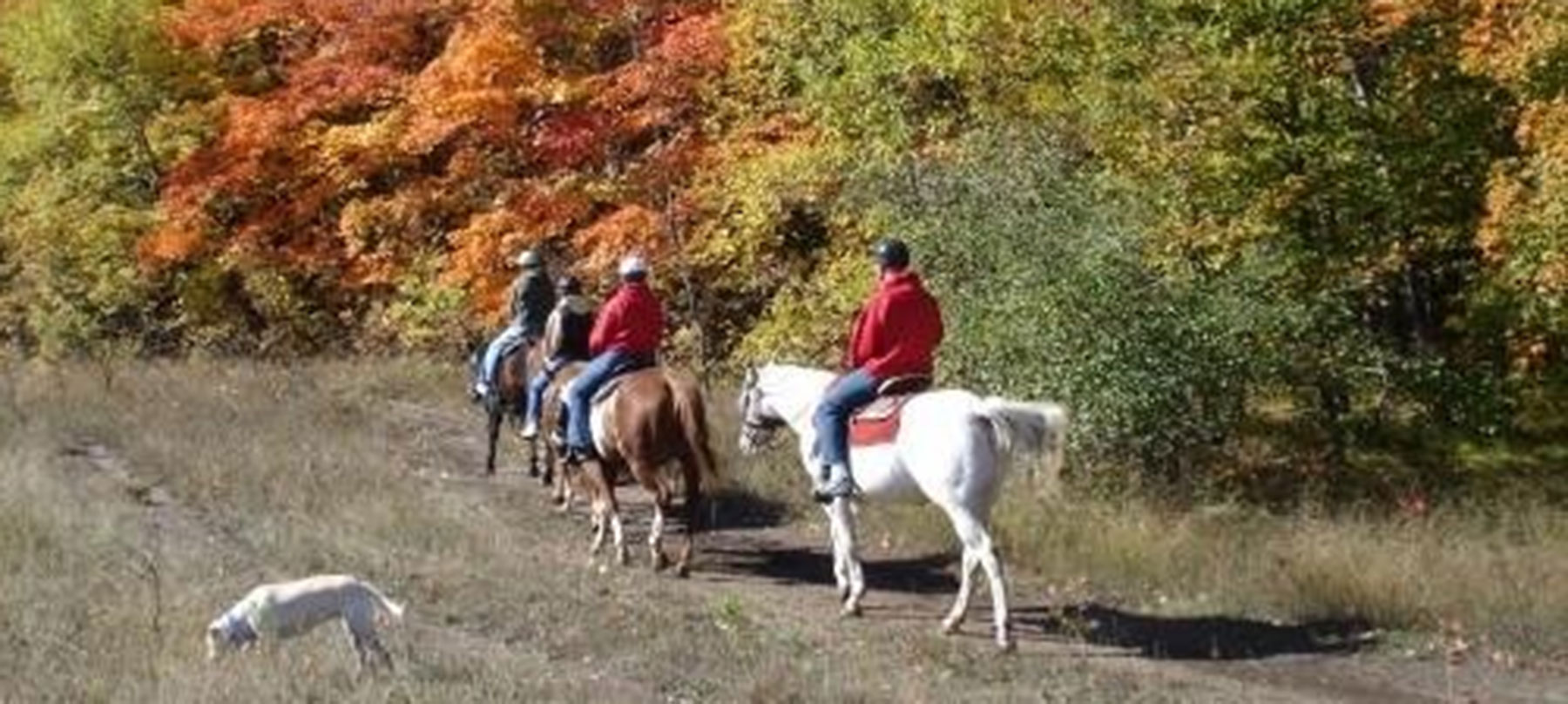 Horseback Riding Crivitz Recreation